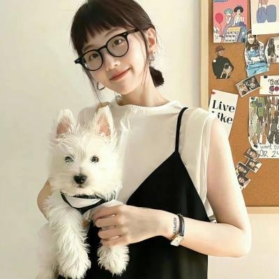 追婚记